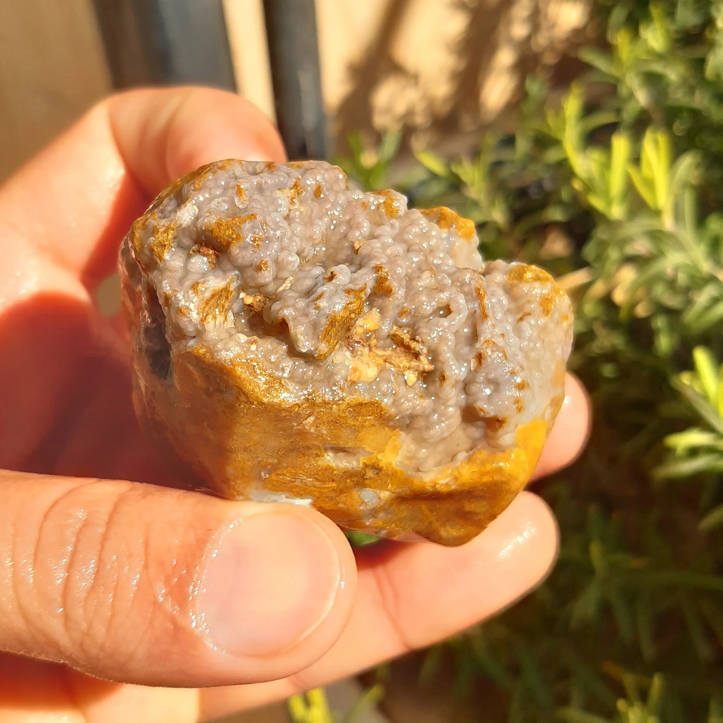 سنگ راف عقیق شجر خزه ای با سطح خوشه انگوری خاص و متفاوت برش نخورده  با قابلیت ساخت نگین